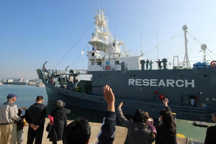 Leaving the IWC means Japanese whalers will be able to resume hunting in Japanese coastal waters of minke and other whales currently protected by the IWC