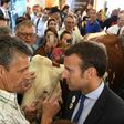 Macron, pictured at a livestock fair last year before he he was elected president, could benefit from a voter herd mentality, analysts say