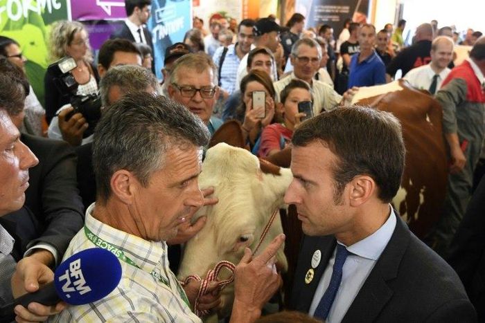 Macron, pictured at a livestock fair last year before he he was elected president, could benefit from a voter herd mentality, analysts say