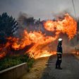 Portugal reported a sharp rise in the destruction wrought by forest fires so far this year compared with figures for the past decade