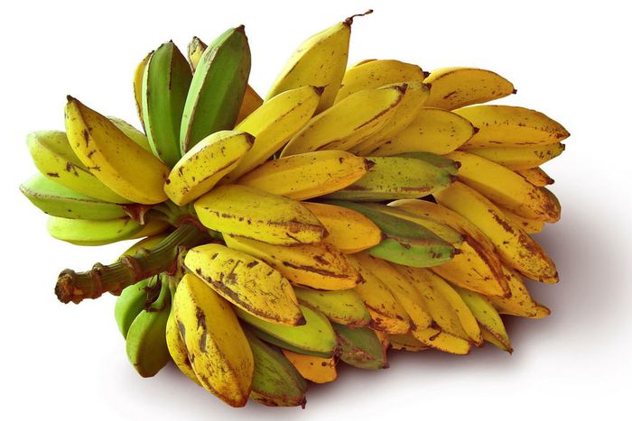 ___6808523___https:______static.pulse.com.gh___webservice___escenic___binary___6808523___2017___6___9___8___Bananas