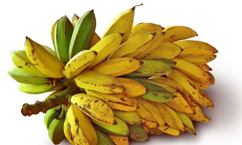 ___6808523___https:______static.pulse.com.gh___webservice___escenic___binary___6808523___2017___6___9___8___Bananas