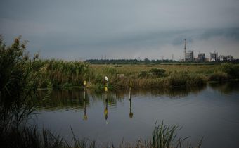 Trump Plan Would Weaken Rules Protecting Wetlands From Pollutants