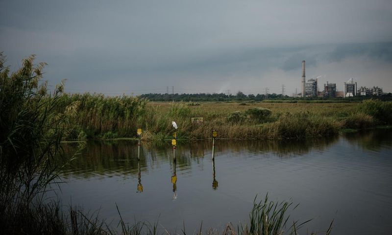 Trump Plan Would Weaken Rules Protecting Wetlands From Pollutants