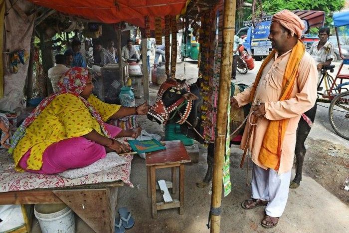 An Indian Hindu Sadhu (holy man) collecting alms with a sacred cow blesses a resident in New Delhi