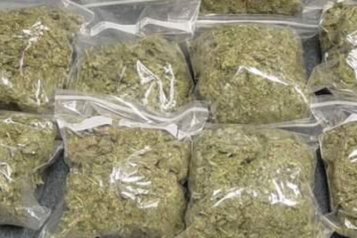 Two suspects arrested with 462kg of Indian Hemp.