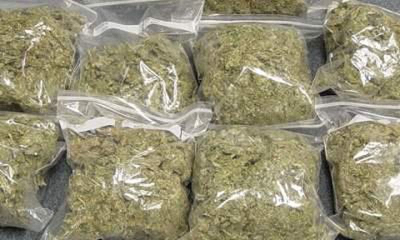 Two suspects arrested with 462kg of Indian Hemp.