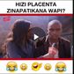 ___8102708___2018___3___12___13___Hizi+placenta+zinapatikana+wapi