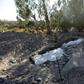 A man walks next to an archaeological site in northern Israel on August 6, 2017. The site is believed to be the location of a biblical village that was home to Saint Peter