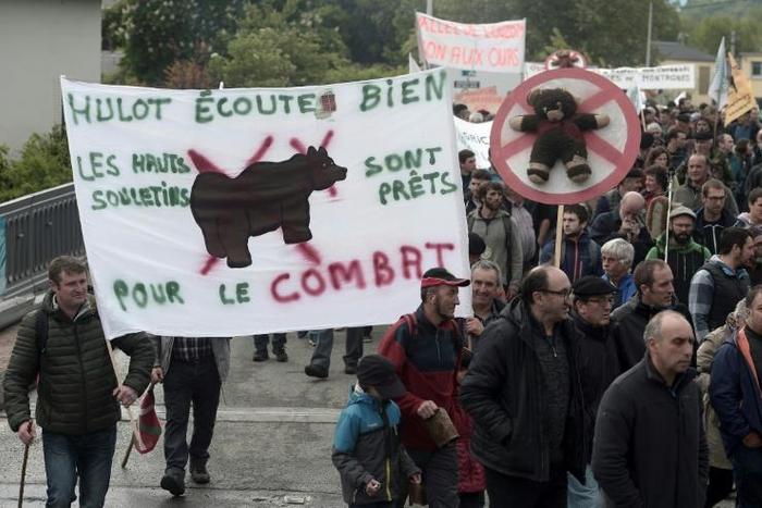 A protest by shepherds in Pau, southwest France, this year against the reintroduction of bears in the Pyrenees mountains