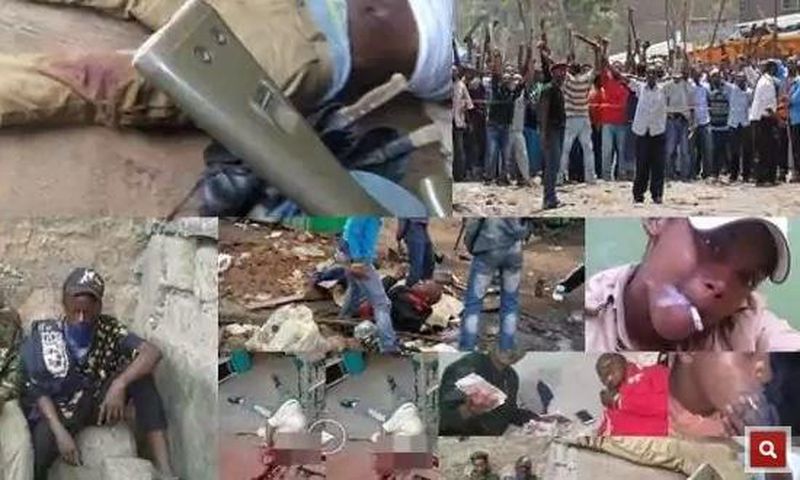 Gaza Gang.