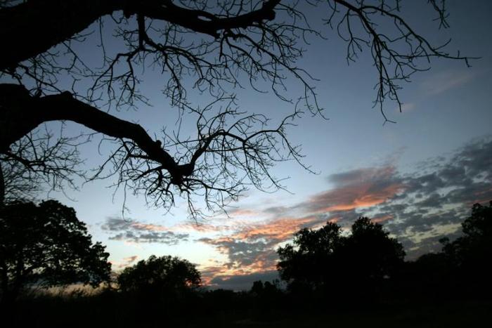 The Selous Game Reserve was designated a UNESCO World Heritage Site in 1982 as one of Africa's last remaining wildernesses. It was named after an Englishman, Frederick Selous, who died in 1917 while fighting in World War I.