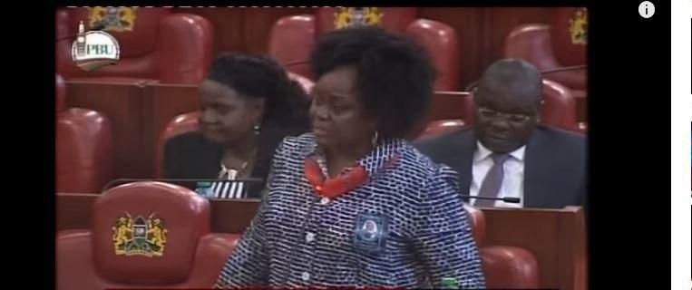 ___9172764___2018___12___6___9___millie+odh