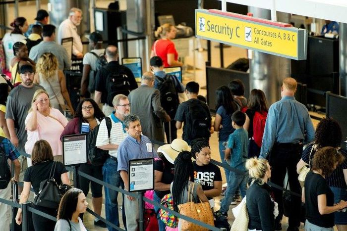 A Nigerian neuroscientist has invented a neurotechnology device merging lab-grown neurons with electronic circuitry, one of whose potential uses is sniffing out explosives, which might just speed up those airport security checks