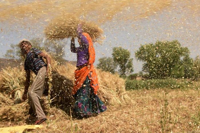Roughly 55 percent of the population is directly or indirectly dependent on agriculture