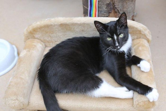 ___8988728___2018___10___17___14___download_9