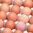 Millions of eggs have been pulled from supermarket shelves across Europe since the discovery of contamination with fipronil, which can harm human health, was made public on August 1