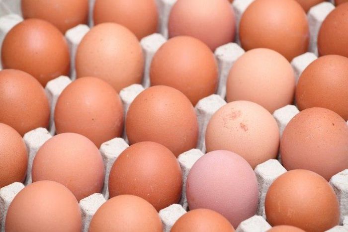 Millions of eggs have been pulled from supermarket shelves across Europe since the discovery of contamination with fipronil, which can harm human health, was made public on August 1