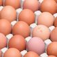 Millions of eggs have been pulled from supermarket shelves across Europe since the discovery of contamination with fipronil, which can harm human health, was made public on August 1