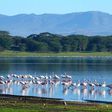 Lake Naivasha