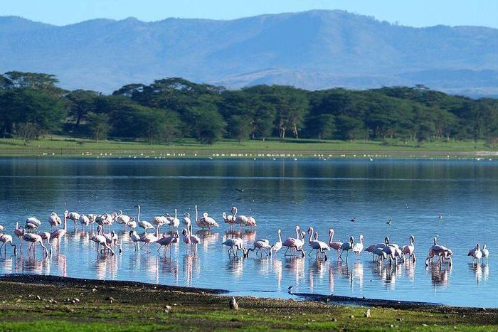 Lake Naivasha