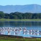 Lake Naivasha