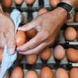 Millions of eggs have been pulled from supermarket shelves and dozens of poultry farms closed, with the European Commission due to hold a crisis meeting in September