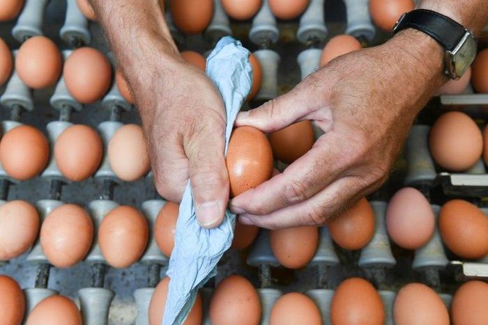 Millions of eggs have been pulled from supermarket shelves and dozens of poultry farms closed, with the European Commission due to hold a crisis meeting in September