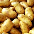 Health benefits of Irish potatoes.