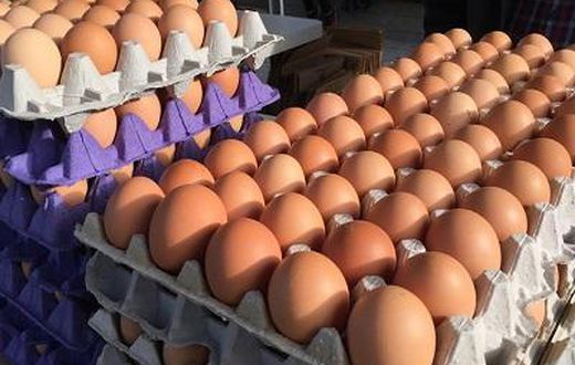 Gov’t planning to replace eggs with Chinese mackerel for students – GNAPF