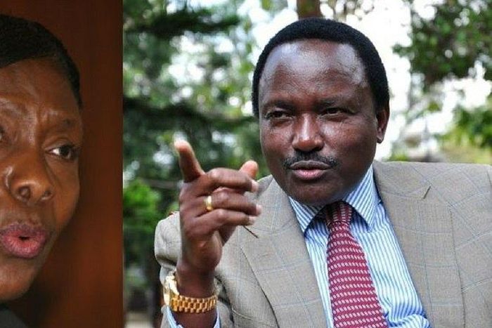 ___6903254___https:______static.pulse.com.gh___webservice___escenic___binary___6903254___2017___6___27___7___Ngilu