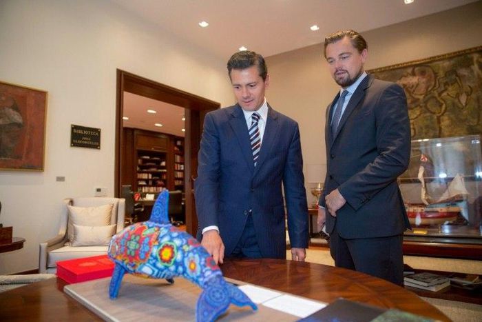 Mexico promised to protect the marine ecosystems of the Gulf of California and in particular the vaquita marina porpoise, in a plan backed by DiCaprio's foundation