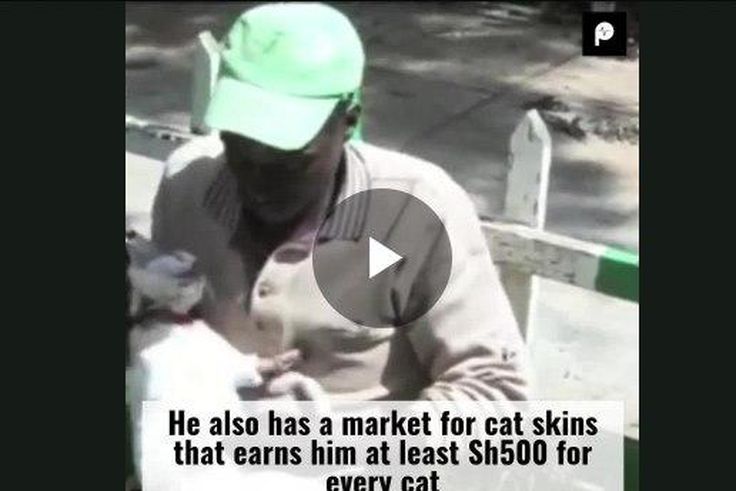 ___8539621___2018___6___25___14___Man+Arrested+for+Selling+Cat+Meat