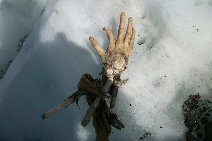 A hand and part of a leg that could belong to passengers killed in two Air India plane crashes at least 50 years ago have been found on Mont Blanc, Western Europe's highest mountain