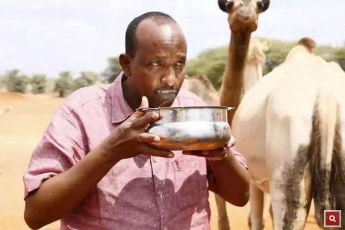 Majority Leader in National Assembly Aden Duale. He announced Parliament will go digital in April