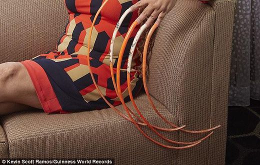 ___7320643___2017___9___15___13___43FACB5F00000578-4859508-Her_nails_each_of_which_is_just_under_two_foot_long_have_earned_-a-18_1504730840638