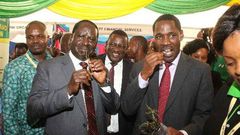 Meru Governor Peter Munya and Nasa leader Raila Odinga chew of Miraa at the Meru exhibition during the last day of the third Annual Devolution Conference in Meru on April 22, 2016.