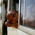 Migrants from Eritrea sit on a bus at the al-Laffa border crossing in Sudan's eastern Kassala state on the Eritrea-Sudan border on May 2, 2017