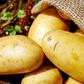 potatoes(adelaide)