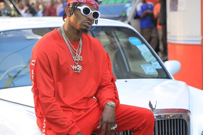 46712225 2229998247324261 7516128136780411829 n