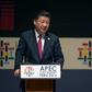China's President Xi Jinping speaks during a session of the APEC CEO Summit, part of the broader Asia-Pacific Economic Cooperation Summit in Lima on November 19, 2016