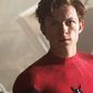 Why Sony Only Wanted The Rights To Spider-Man