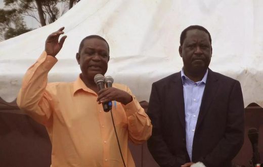 ___6641637___https:______static.pulse.com.gh___webservice___escenic___binary___6641637___2017___5___8___10___Oburu+Odinga+anf+his+brother+Raila+Odinga