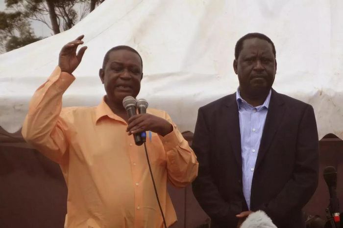 ___6641637___https:______static.pulse.com.gh___webservice___escenic___binary___6641637___2017___5___8___10___Oburu+Odinga+anf+his+brother+Raila+Odinga