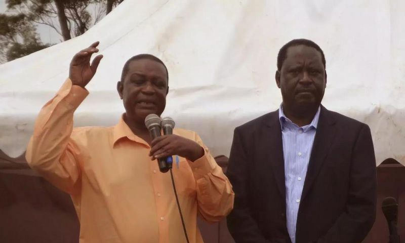 ___6641637___https:______static.pulse.com.gh___webservice___escenic___binary___6641637___2017___5___8___10___Oburu+Odinga+anf+his+brother+Raila+Odinga