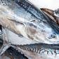 Tuna fish.