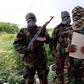 Police said the terror group Al Shabaab (above) are planning attacks in the country.