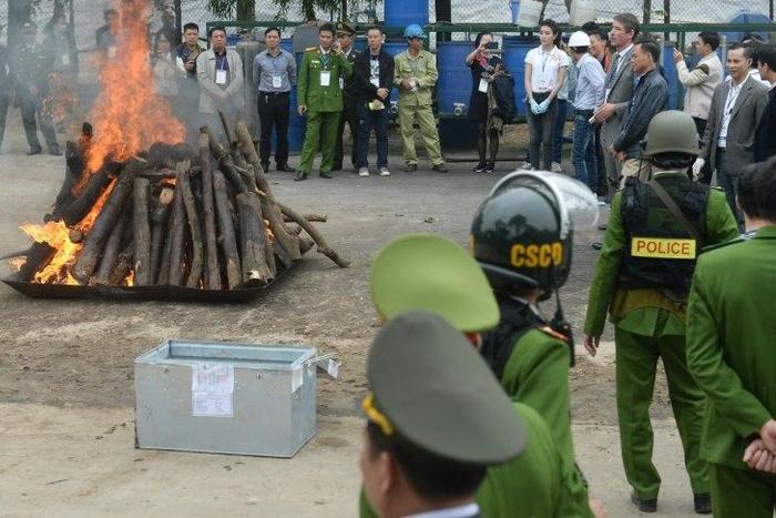 The ivory and rhino horn trade is officially banned in Vietnam, but its use in traditional medicine and for decoration remains widespread, especially among the communist country's growing elite