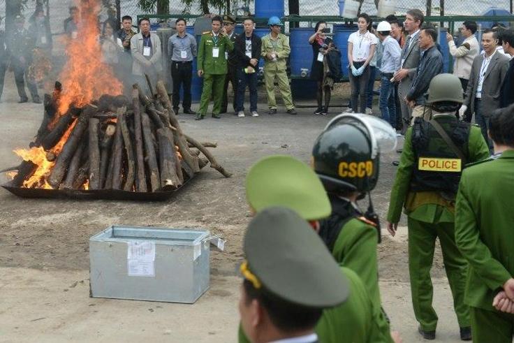 The ivory and rhino horn trade is officially banned in Vietnam, but its use in traditional medicine and for decoration remains widespread, especially among the communist country's growing elite