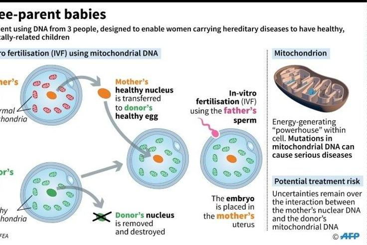 Explanation of IVF using mitochondrial DNA donation, which is designed to allow women carriers of hereditary diseases to have healthy, genetically-related children